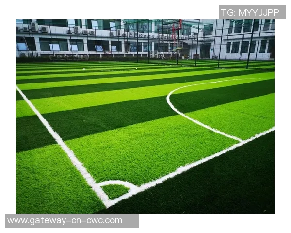 探索嘉定足球场的魅力与发展潜力，助力本地足球文化的蓬勃兴起